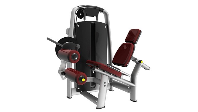 TZ-6055  Seated Leg extension& Leg Curl