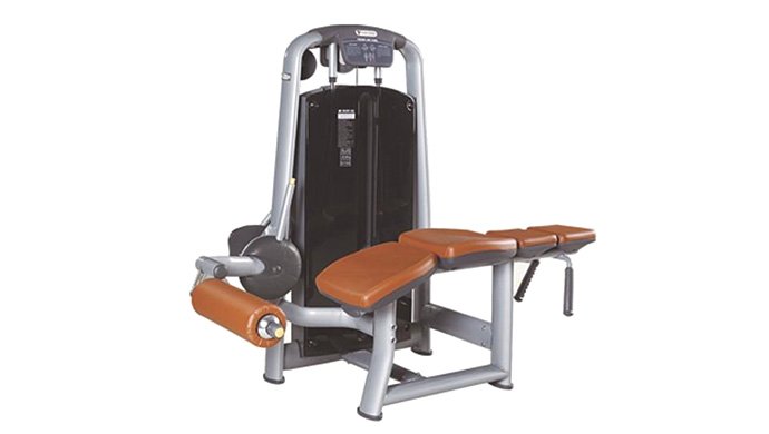 TZ-6044 Prone Leg Curl