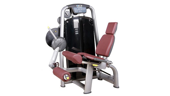 TZ-6002  Seated Leg Extension