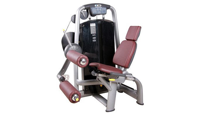 TZ-6001  Seated Leg Curl