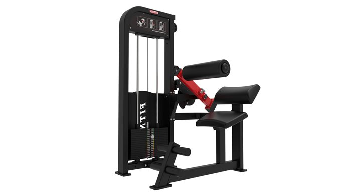 G-5054 Back & Abdominal Combo